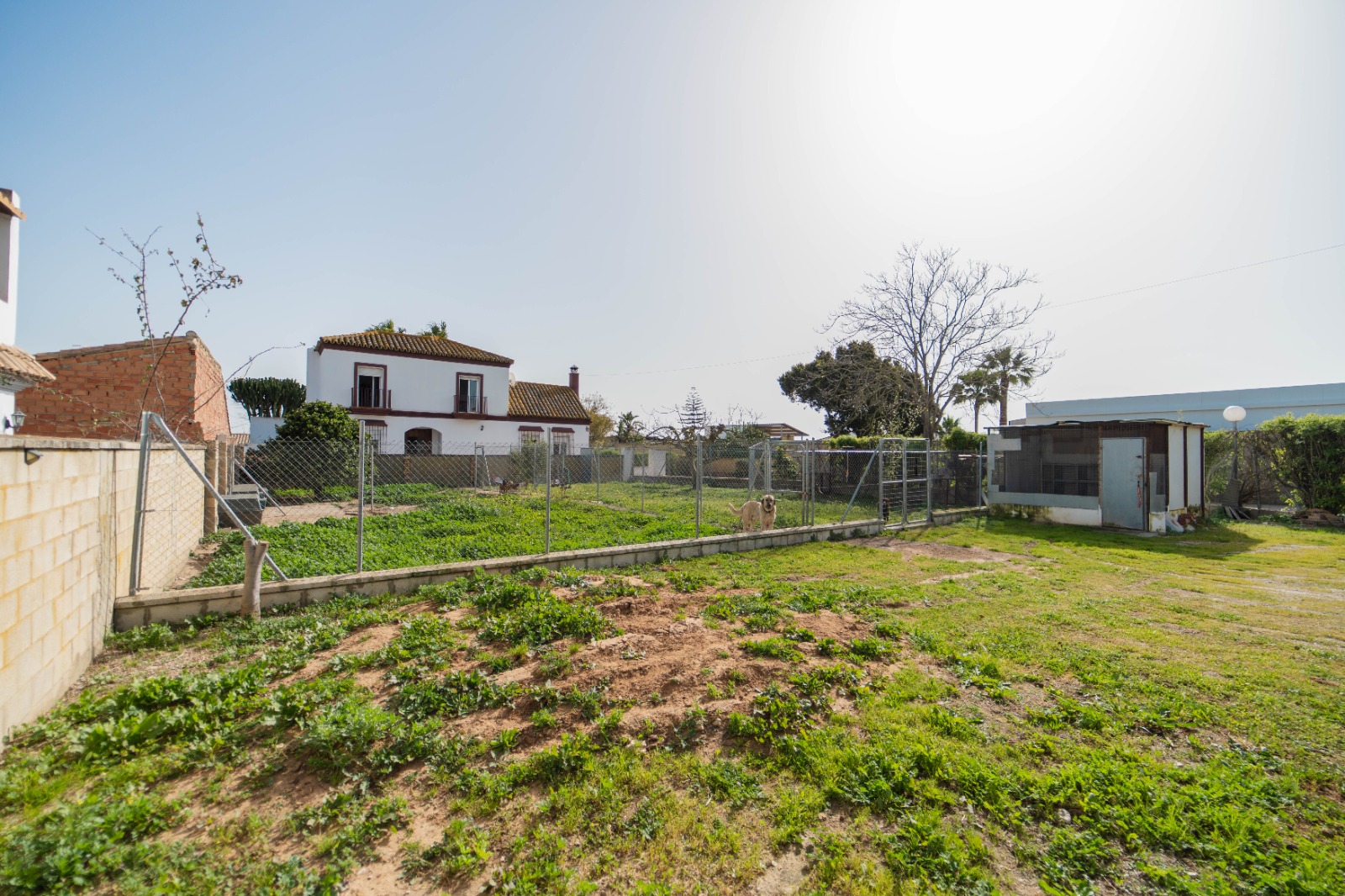 Casa o chalet independiente en venta en Camino de la Jara s/n — Imagen 29